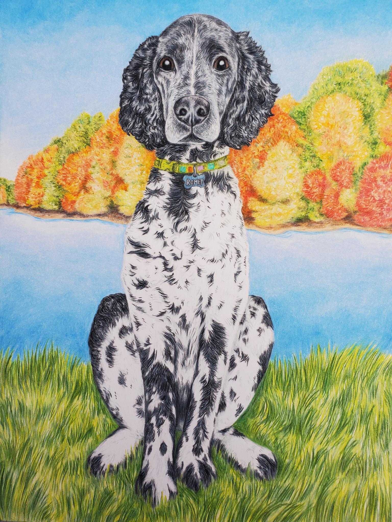 Black and white dog on background of colorful trees